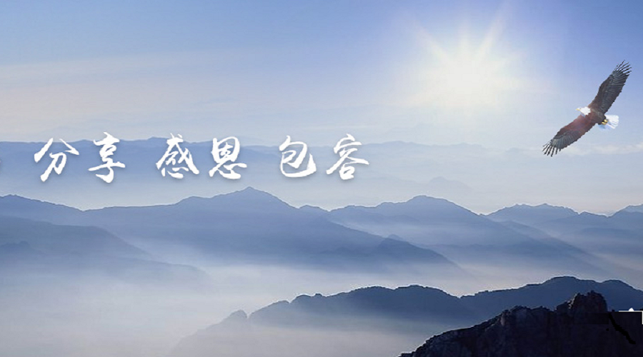 济南建网站济南网站建设企业网站开发案例介绍(山东联荷实业) 济南建网站济南网站建设企业网站开发案例介绍(山东联荷实业)