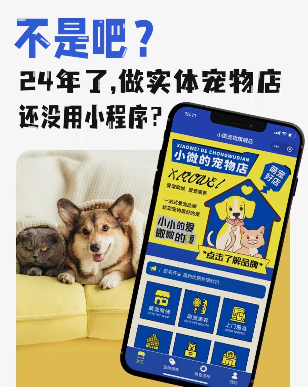 济南建网站上门服务系统能帮宠物上门行业解决哪些问题 济南建网站上门服务系统能帮宠物上门行业解决哪些问题
