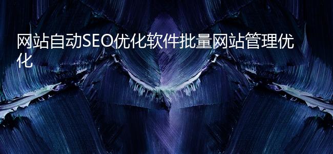 网站自动SEO优化软件批量网站管理优化