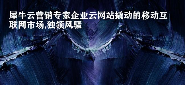 犀牛云营销专家企业云网站撬动的移动互联网市场,独领风骚