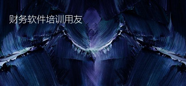 财务软件培训用友