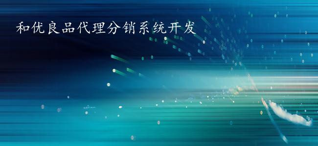 和优良品代理分销系统开发