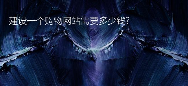 建设一个购物网站需要多少钱?