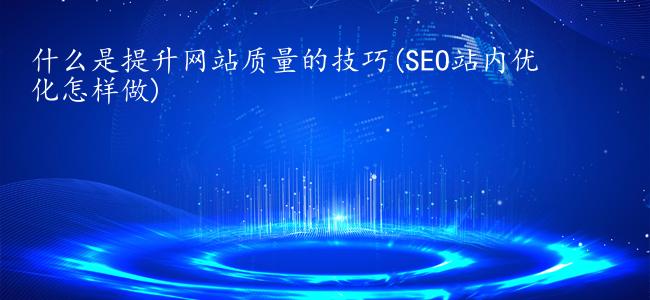 什么是提升网站质量的技巧(SEO站内优化怎样做)